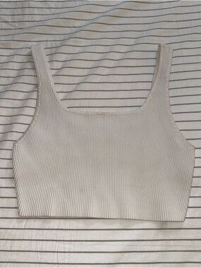 Babaton Aritzia Ribbed Crop Tank Top